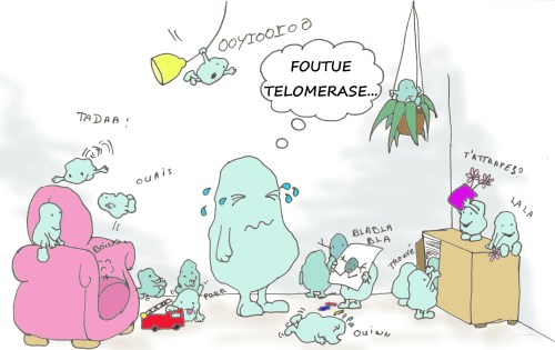 tel_cellule