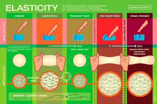 Food Science Illustration featured on Top Chef Masters