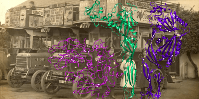 trois perforines devant une tramway ancien