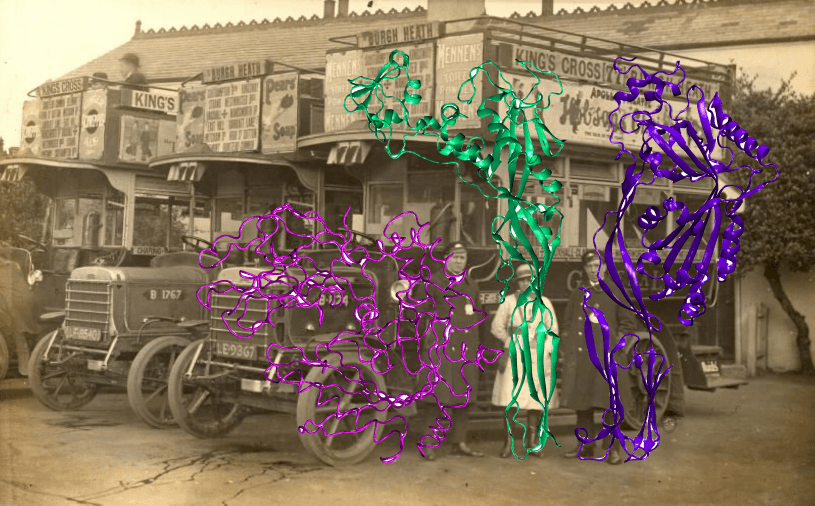 trois perforines devant une tramway ancien